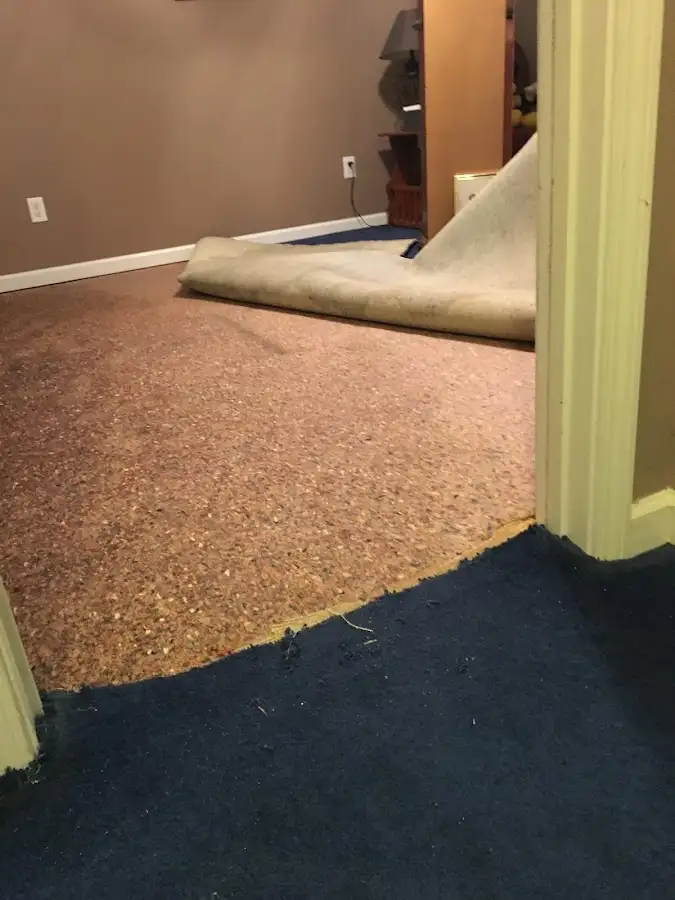 Carpet pad removal revealing water damage during Drying & Dehumidification in Littlefield