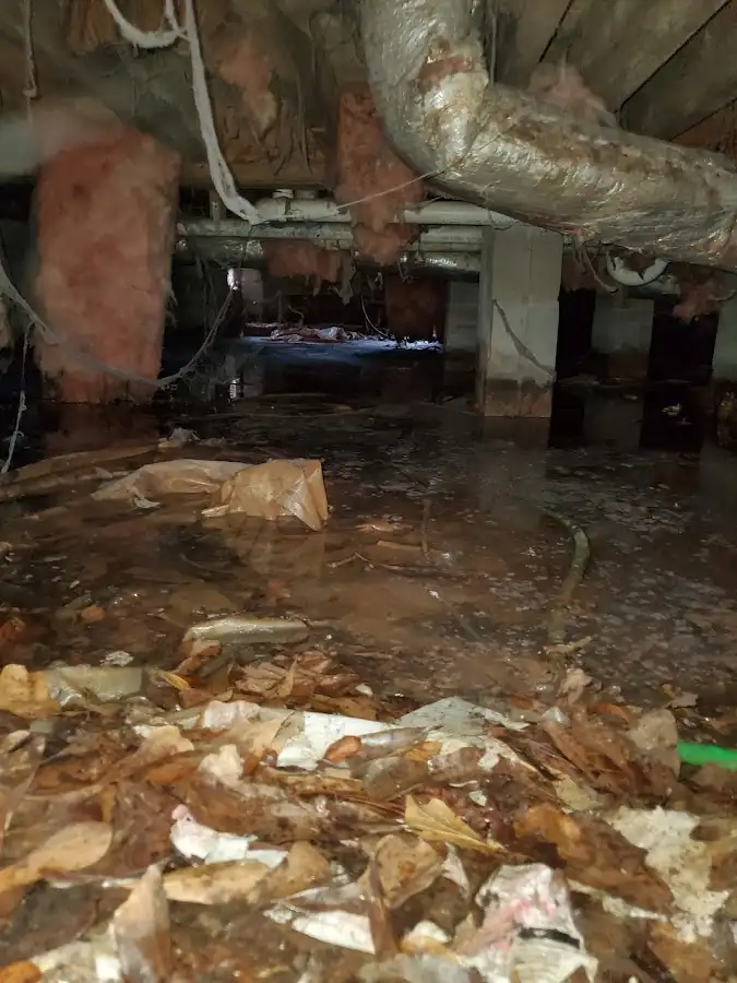 Crawl space flood assessment for Leak Detection & Repair in Littlefield